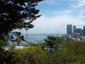 coit_tower_view